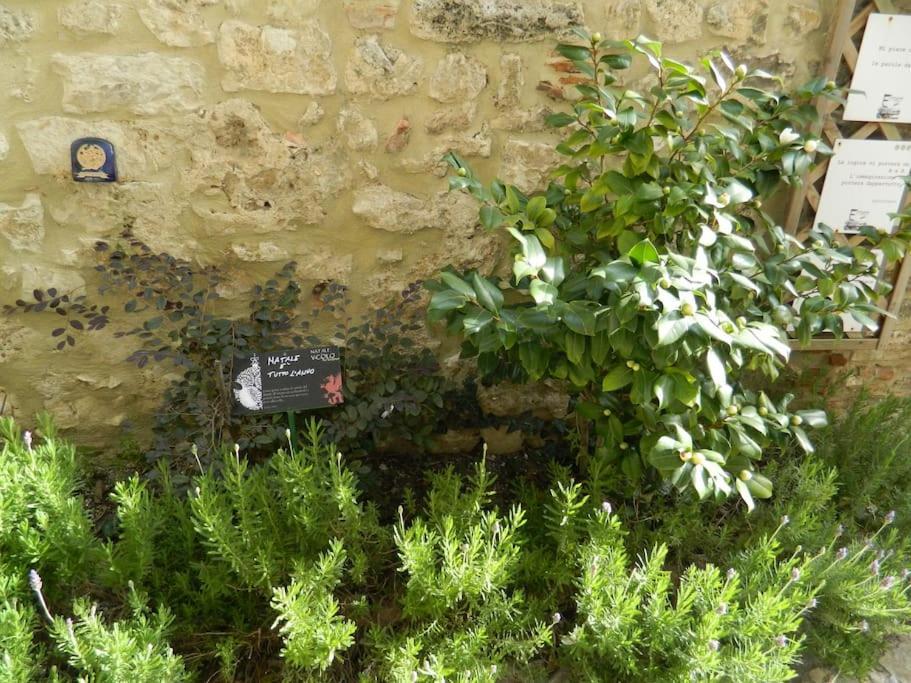 Apartmán Casa Dell'Oliveto "Parcheggio Gratuito" Narni Exteriér fotografie
