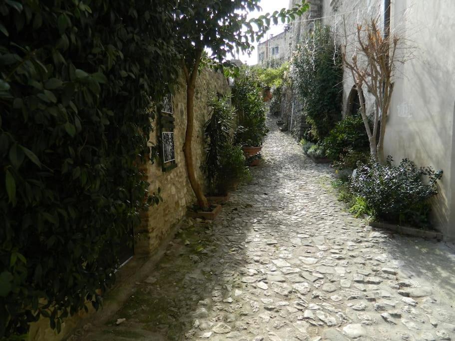 Apartmán Casa Dell'Oliveto "Parcheggio Gratuito" Narni Exteriér fotografie