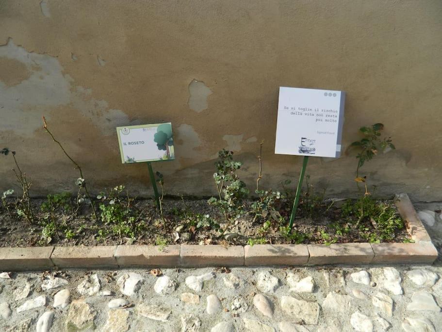 Apartmán Casa Dell'Oliveto "Parcheggio Gratuito" Narni Exteriér fotografie