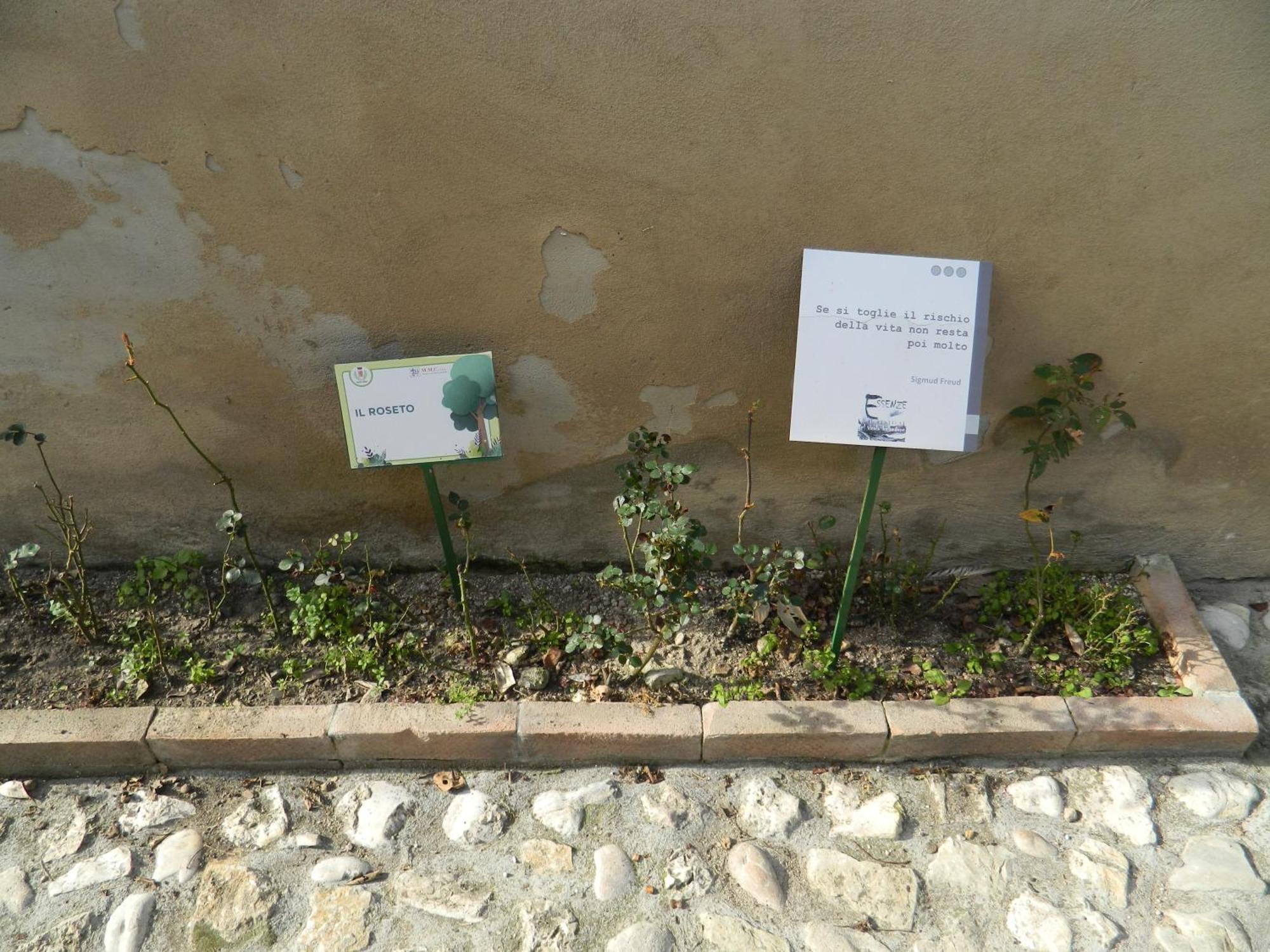 Apartmán Casa Dell'Oliveto "Parcheggio Gratuito" Narni Exteriér fotografie