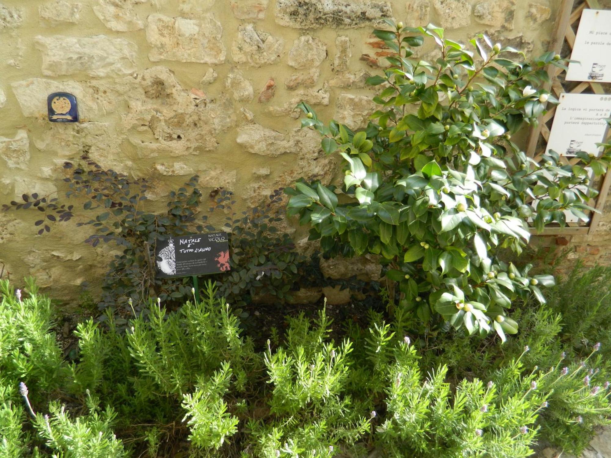 Apartmán Casa Dell'Oliveto "Parcheggio Gratuito" Narni Exteriér fotografie